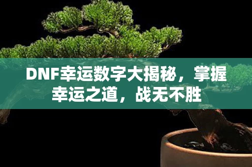 DNF幸运数字大揭秘图片