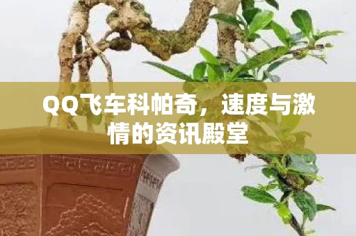 速度与激情的资讯殿堂图片