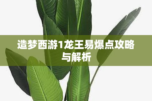 造梦西游1龙王易爆点攻略与解析图片