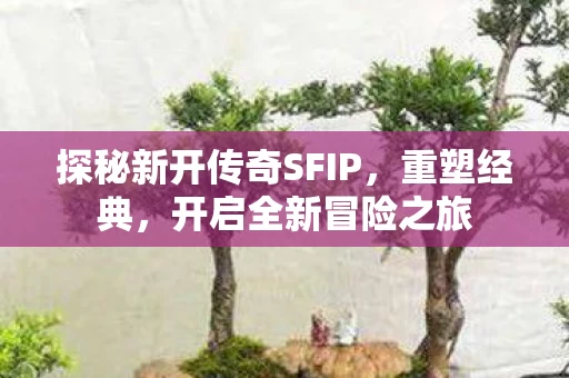 探秘新开传奇SFIP图片