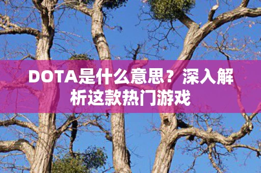 深入解析这款热门游戏图片