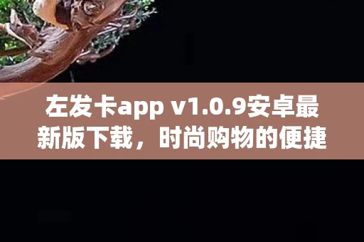 左发卡app v1图片