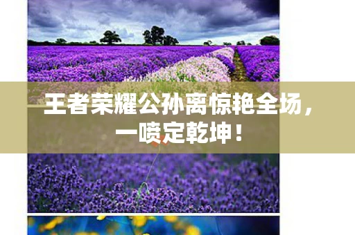 王者荣耀公孙离惊艳全场图片