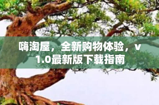0最新版下载指南图片