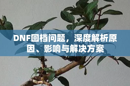DNF回档问题图片