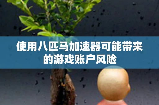 使用八匹马加速器可能带来的游戏账户风险图片