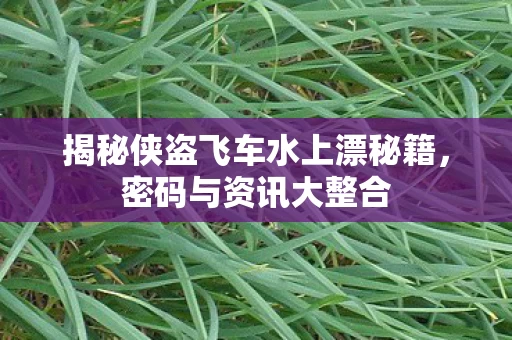 揭秘侠盗飞车水上漂秘籍图片