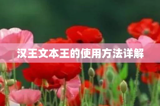 汉王文本王的使用方法详解图片