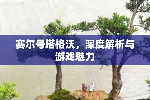 深度解析与游戏魅力图片