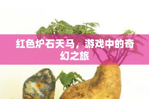 游戏中的奇幻之旅图片