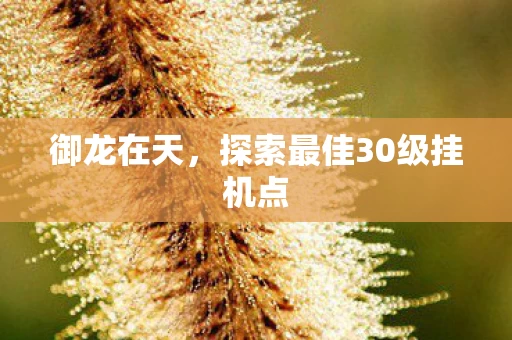 探索最佳30级挂机点图片