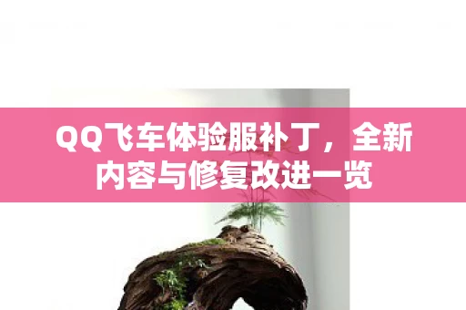 全新内容与修复改进一览图片
