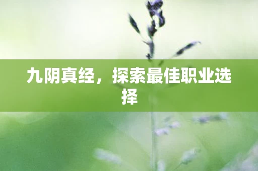 探索最佳职业选择图片