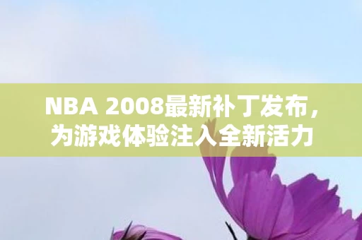 NBA 2008最新补丁发布图片