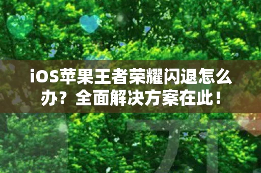 iOS苹果王者荣耀闪退怎么办图片