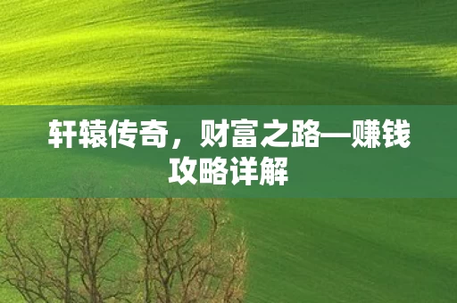 赚钱攻略详解图片