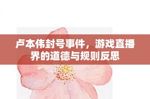 游戏直播界的道德与规则反思图片