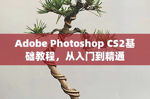 Adobe Photoshop CS2基础教程图片