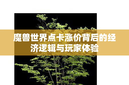 魔兽世界点卡涨价背后的经济逻辑与玩家体验图片
