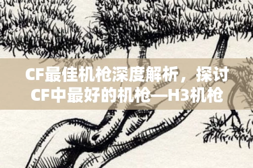 H3机枪与AMP机枪的优劣对比图片