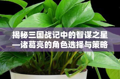 诸葛亮的角色选择与策略深度解析图片