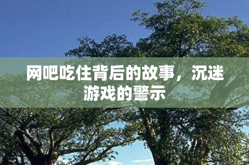 网吧吃住背后的故事图片