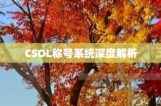 CSOL称号系统深度解析图片