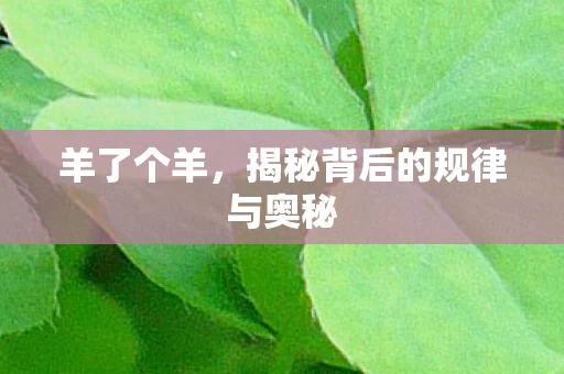 揭秘背后的规律与奥秘图片