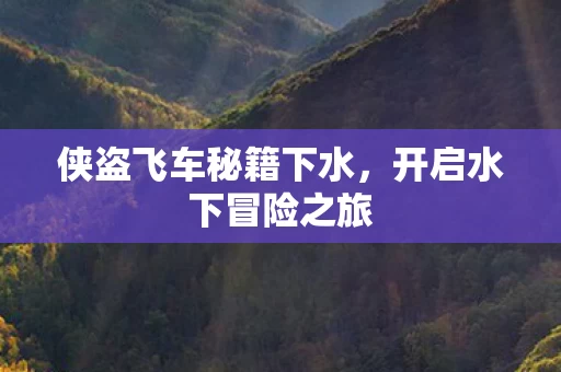 侠盗飞车秘籍下水图片