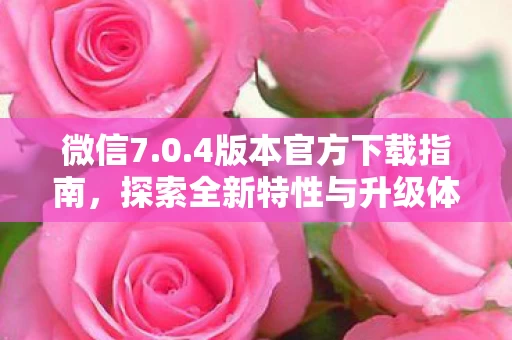 探索全新特性与升级体验图片