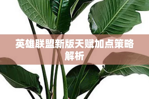 英雄联盟新版天赋加点策略解析图片