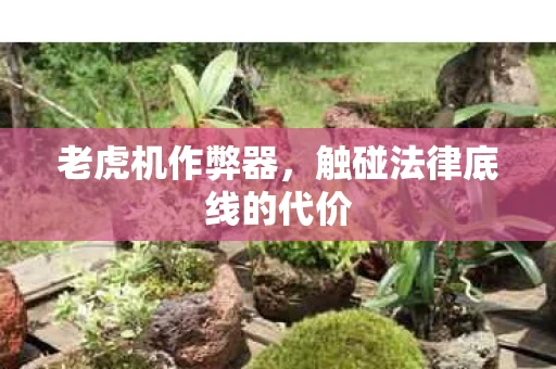 触碰法律底线的代价图片