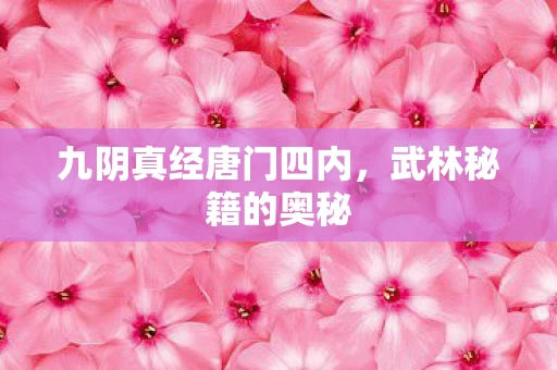 九阴真经唐门四内图片