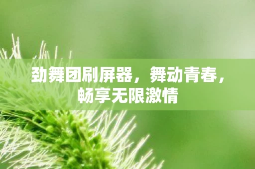 劲舞团刷屏器图片