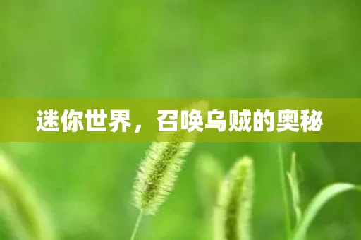 召唤乌贼的奥秘图片