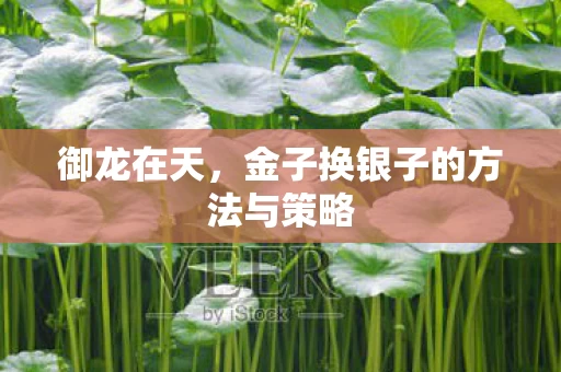 金子换银子的方法与策略图片