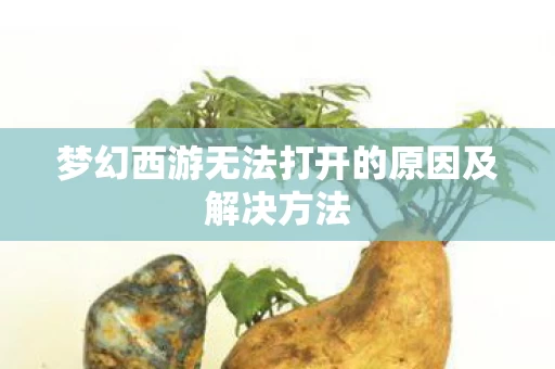 梦幻西游无法打开的原因及解决方法图片
