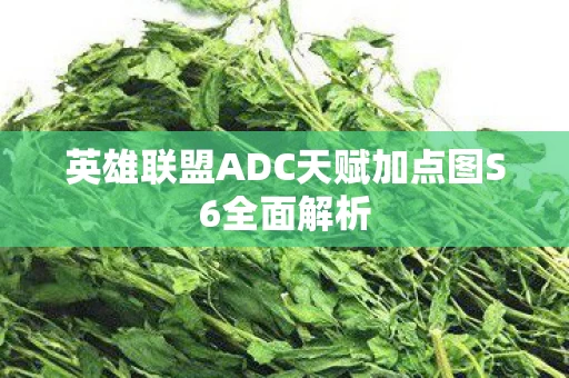 英雄联盟ADC天赋加点图S6全面解析图片