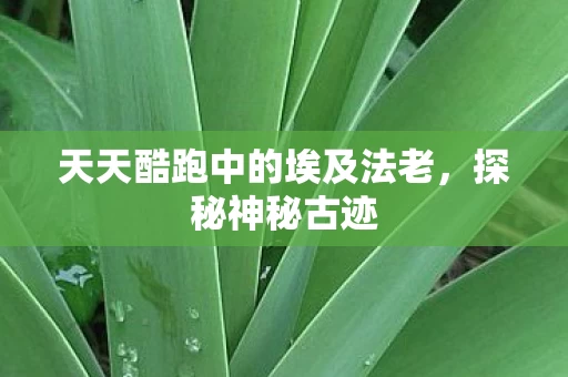 天天酷跑中的埃及法老图片