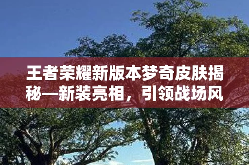 王者荣耀新版本梦奇皮肤揭秘图片