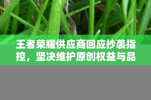 王者荣耀供应商回应抄袭指控图片