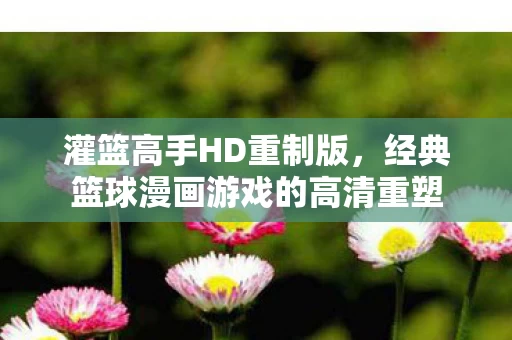 经典篮球漫画游戏的高清重塑图片