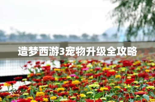造梦西游3宠物升级全攻略图片