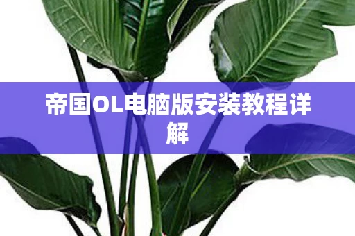 帝国OL电脑版安装教程详解图片