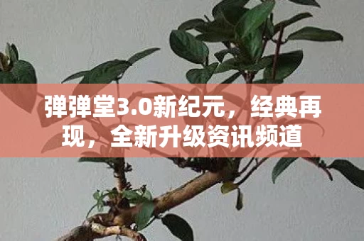 全新升级资讯频道图片