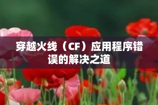 应用程序错误的解决之道图片