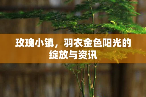 羽衣金色阳光的绽放与资讯图片