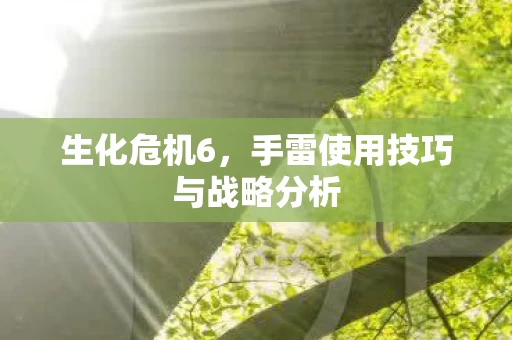 手雷使用技巧与战略分析图片