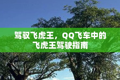 QQ飞车中的飞虎王驾驶指南图片