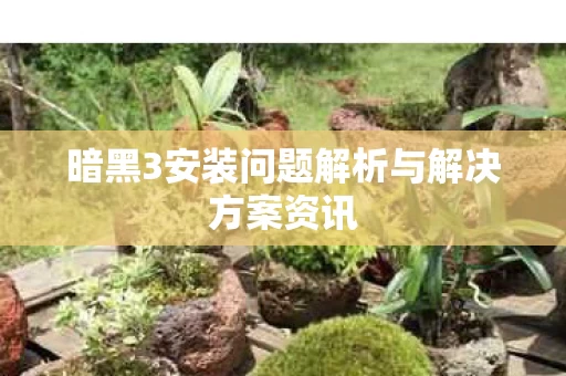 暗黑3安装问题解析与解决方案资讯图片